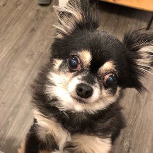 Meet your Posher, Lorraine